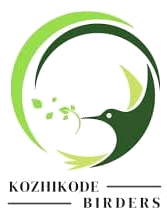 Kozhikode Birders Logo
